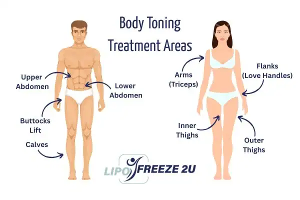 Graphic showing where you can have Body toning Treatment Alton on your body
